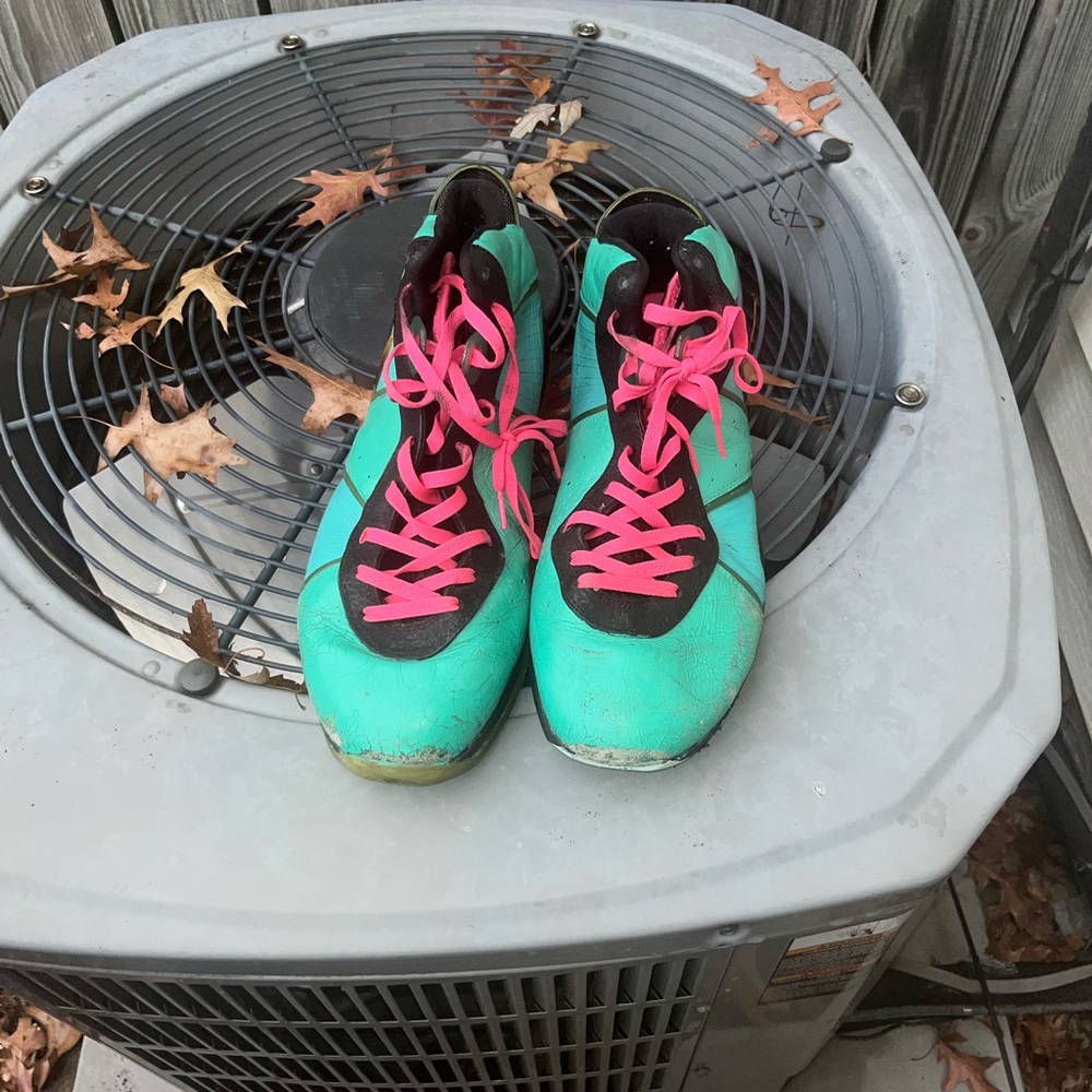 Lebron 8 south beach